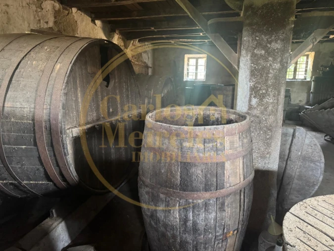 Quinta T2 para Venda em Ardegão, Freixo e Mato Foto 41