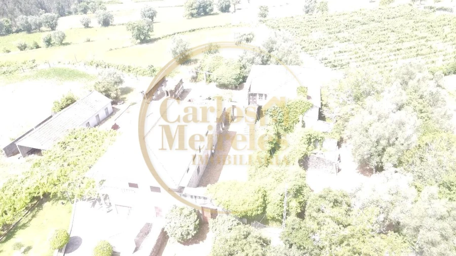 Quinta T2 para Venda em Ardegão, Freixo e Mato Foto 50