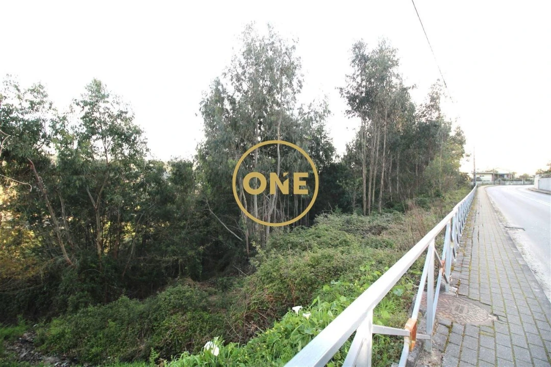 Terreno para Venda em Ruilhe Foto 3