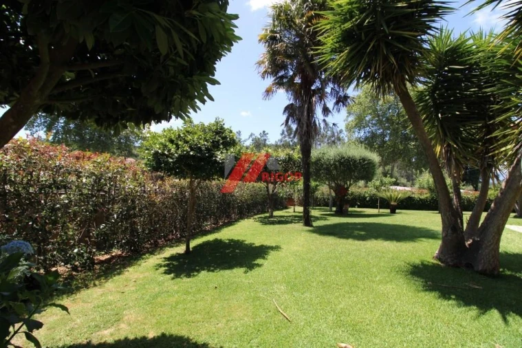 Moradia T4 para Venda em Fornelos e Queijada Foto 2