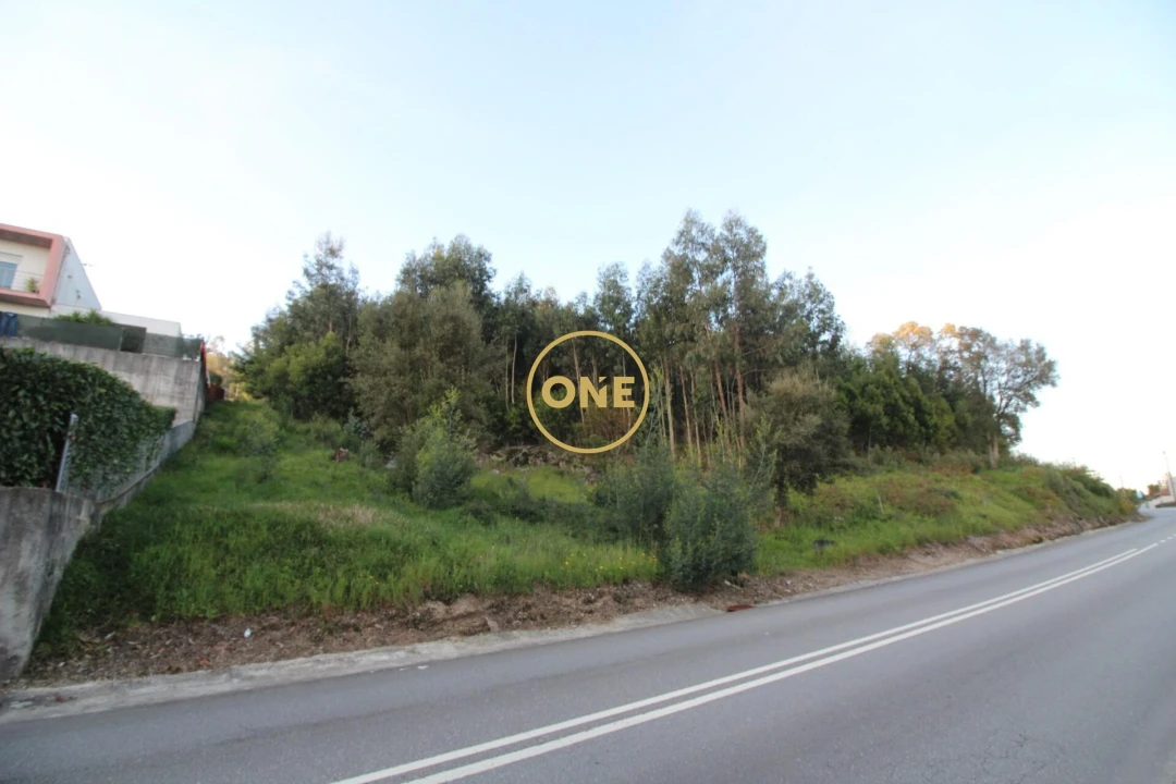 Terreno para Venda em Ruilhe Foto 12