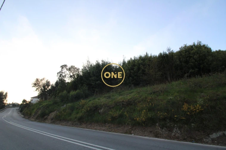 Terreno para Venda em Ruilhe Foto 16