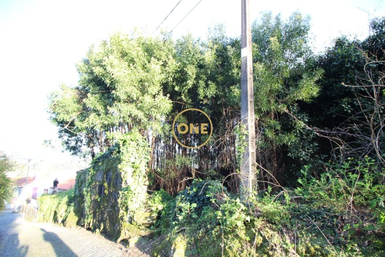 Terreno para Venda em Ruilhe Foto 4