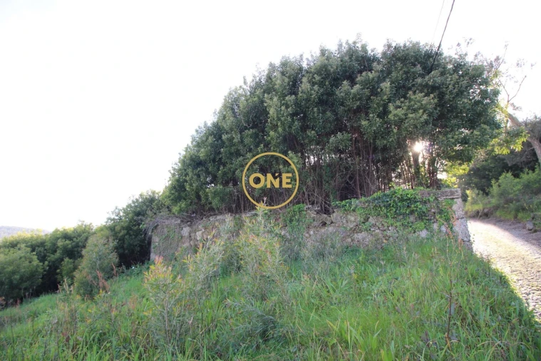 Terreno para Venda em Ruilhe