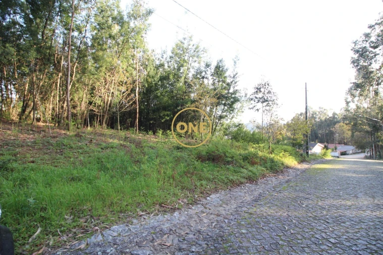 Terreno para Venda em Ruilhe Foto 9