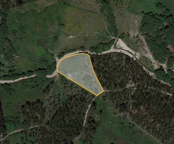 Terreno para Venda em Serzedelo Foto 2