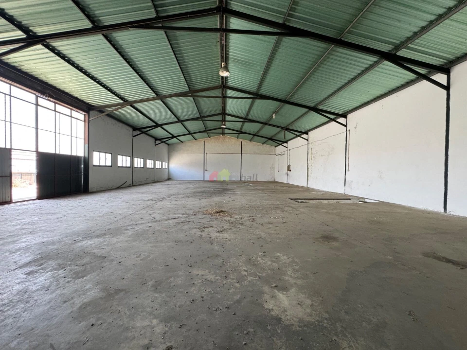 Armazém para Venda em Vidigueira Foto 8