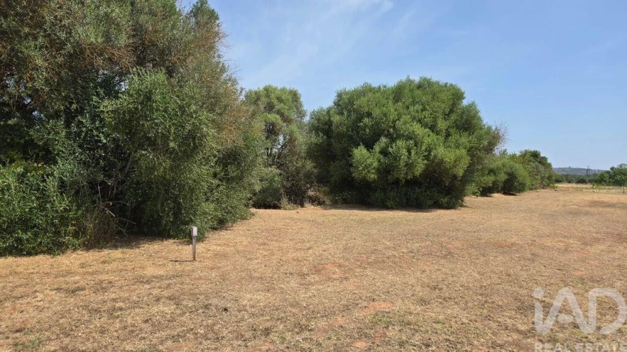 Terreno para Venda em Paderne Foto 14