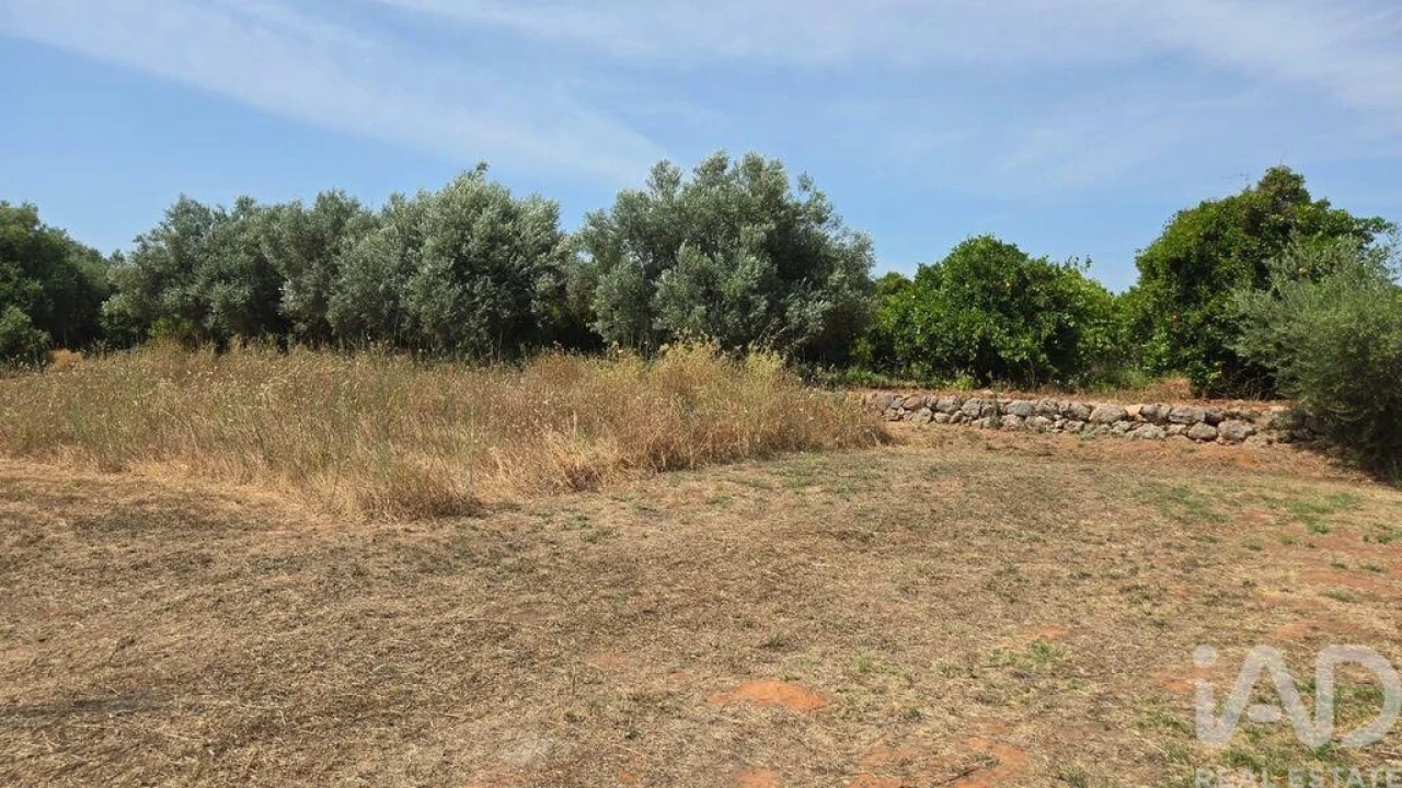 Terreno para Venda em Paderne Foto 19