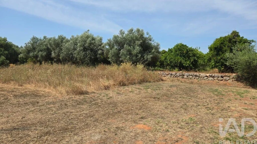 Terreno para Venda em Paderne Foto 19