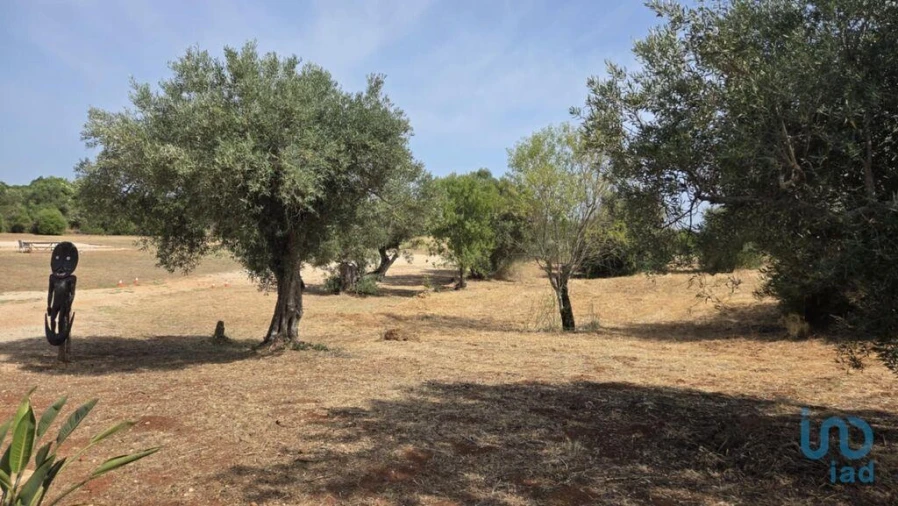 Terreno para Venda em Paderne Foto 7