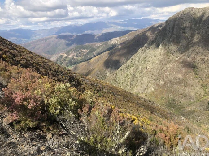 Moradia T4 para Venda em Carvalhais e Candal Foto 16