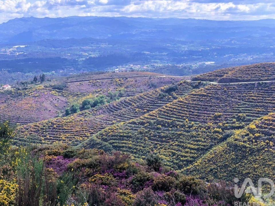 Moradia T4 para Venda em Carvalhais e Candal Foto 17