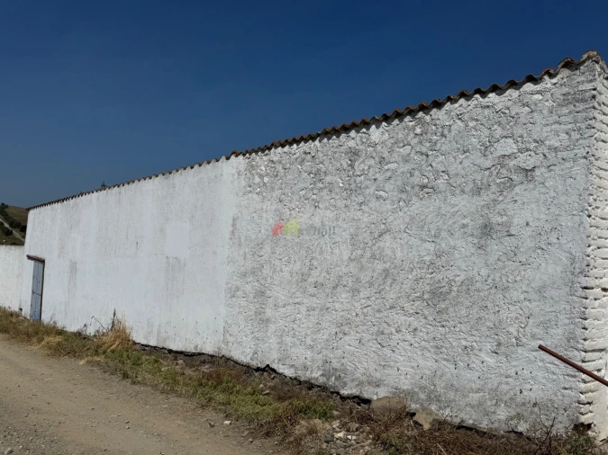Armazém para Venda em Santa Vitória e Mombeja Foto 16