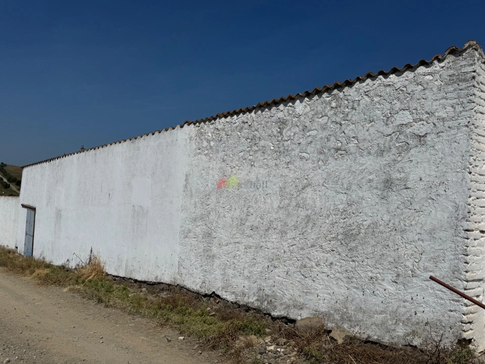 Armazém para Venda em Santa Vitória e Mombeja Foto 16