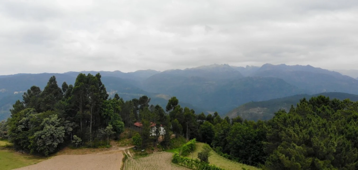 Terreno para Venda em Louredo Foto 6