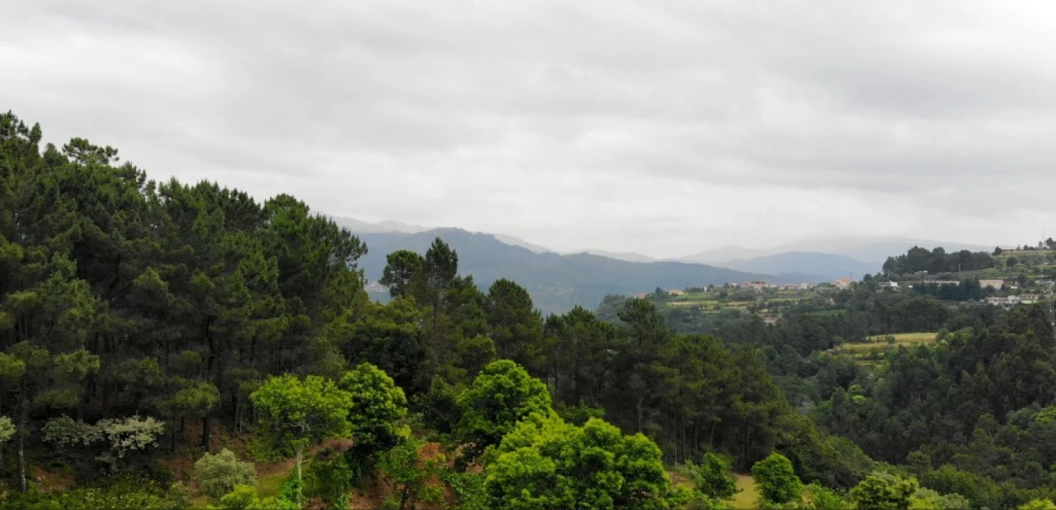 Terreno para Venda em Louredo Foto 5