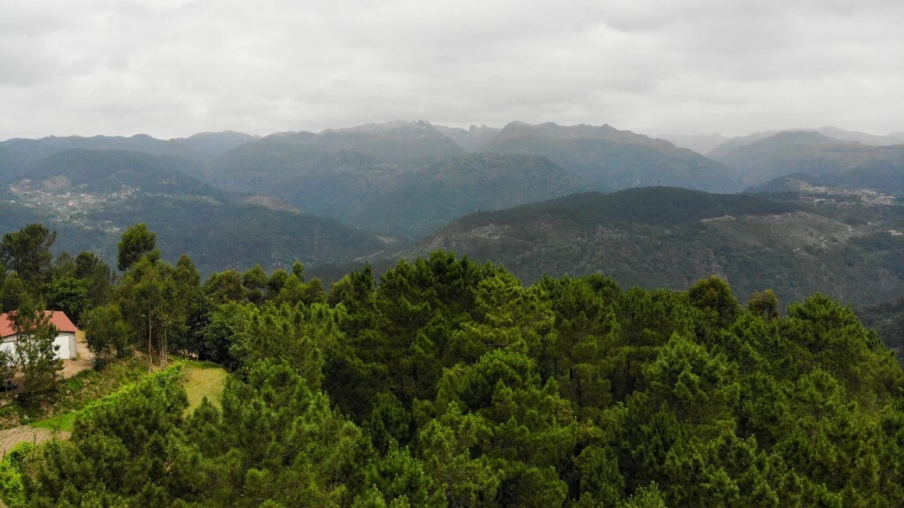 Terreno para Venda em Louredo Foto 7