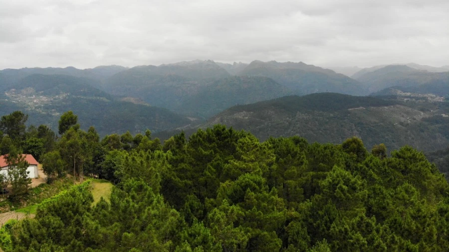 Terreno para Venda em Louredo Foto 7