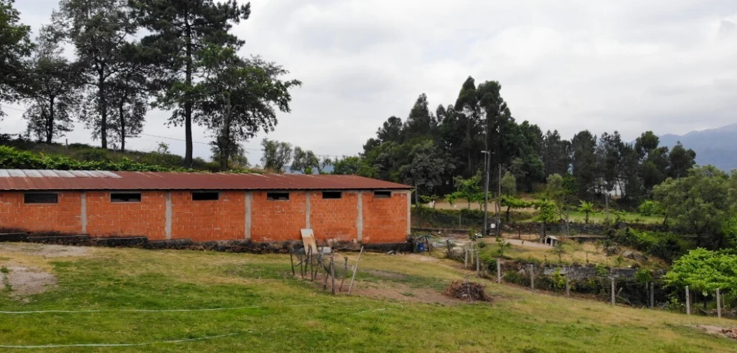 Terreno para Venda em Louredo Foto 4
