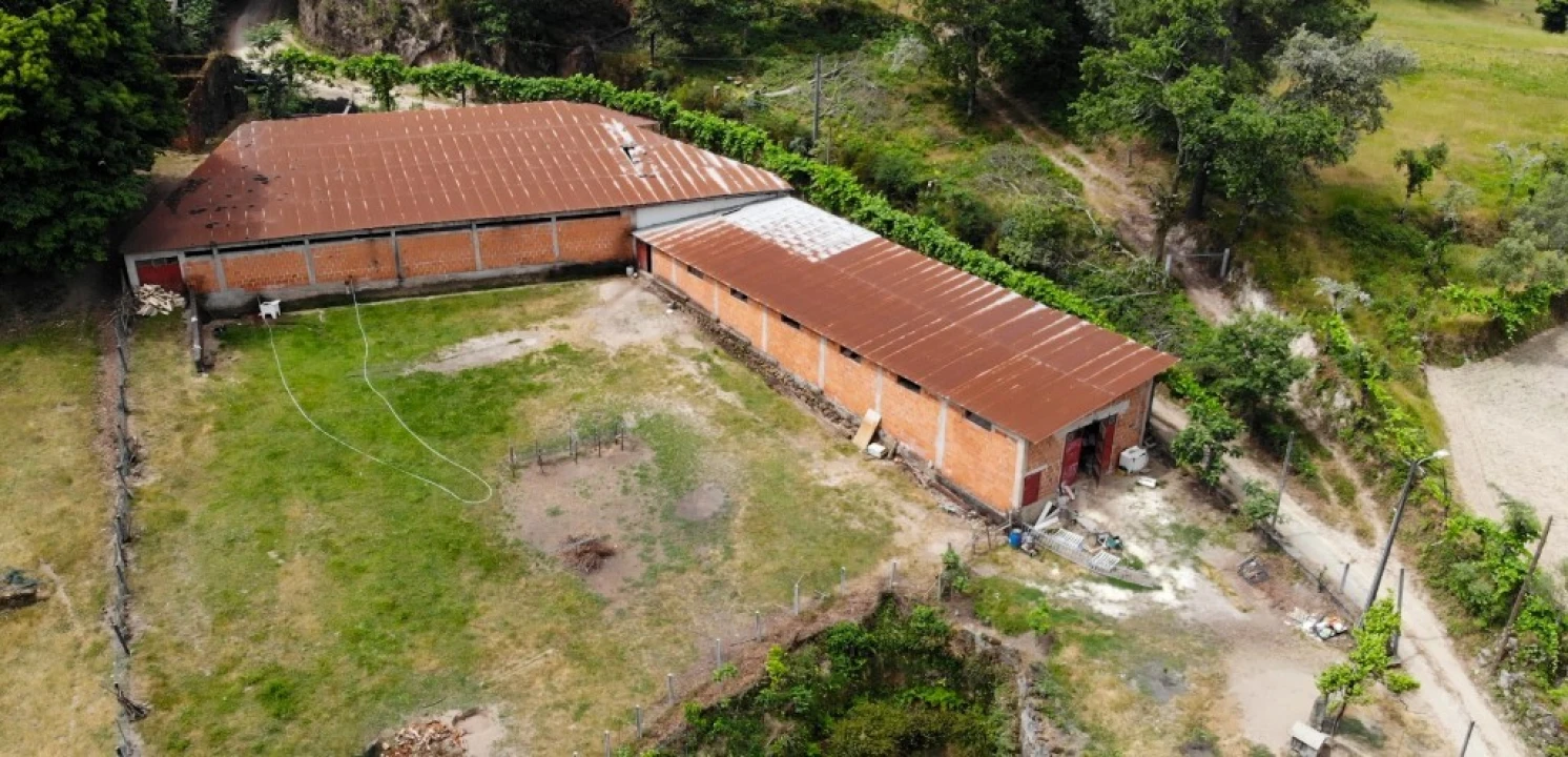 Terreno para Venda em Louredo Foto 8