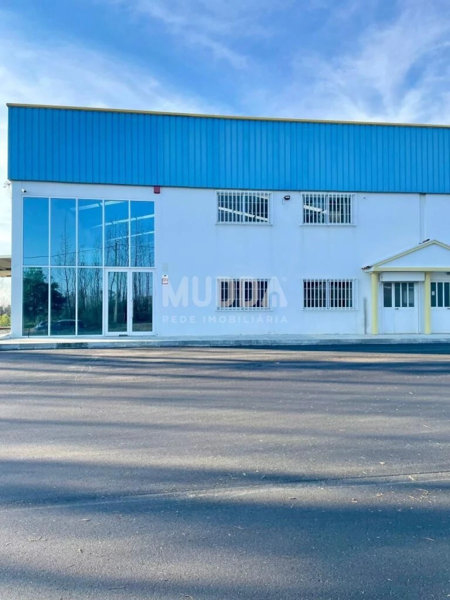 Armazém para Arrendamento em Albergaria-A-Velha e Valmaior Foto 4