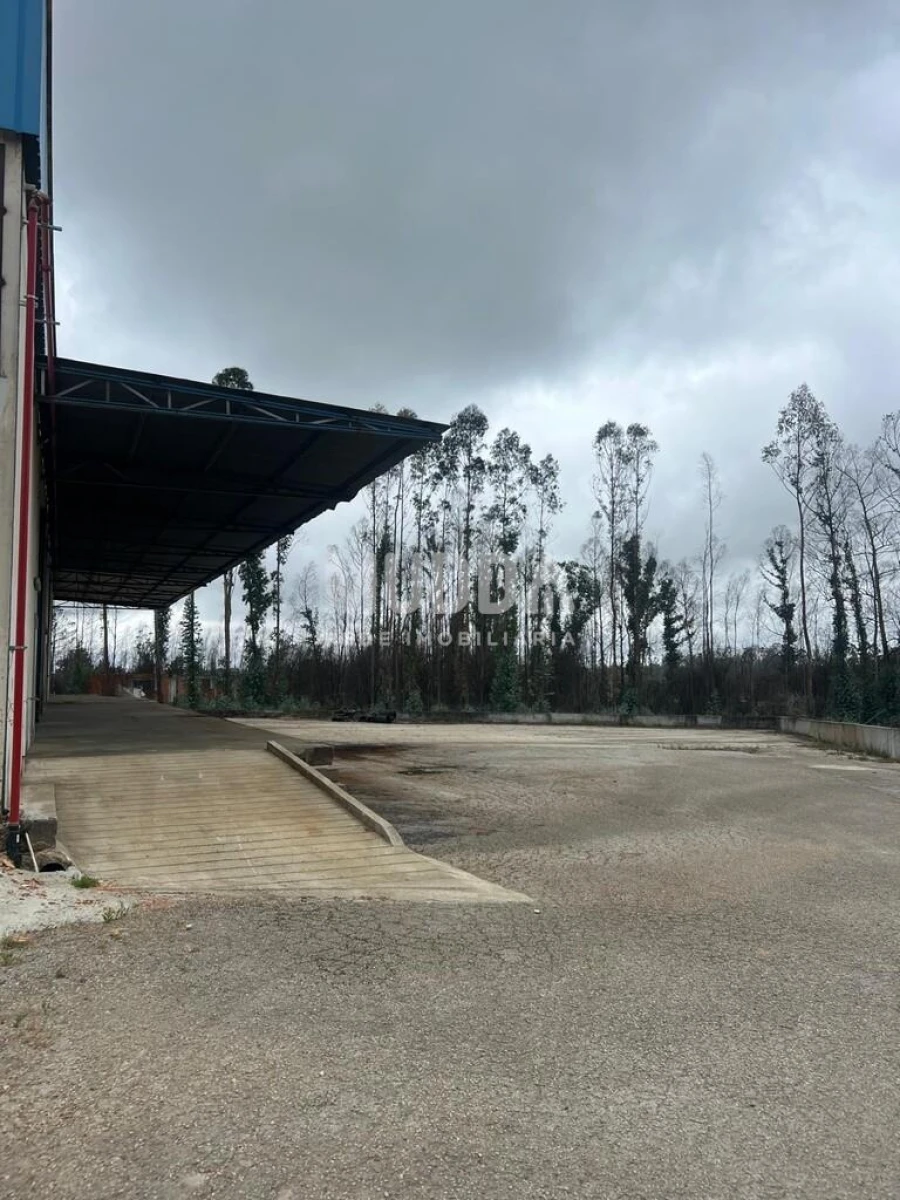Armazém para Arrendamento em Albergaria-A-Velha e Valmaior Foto 9
