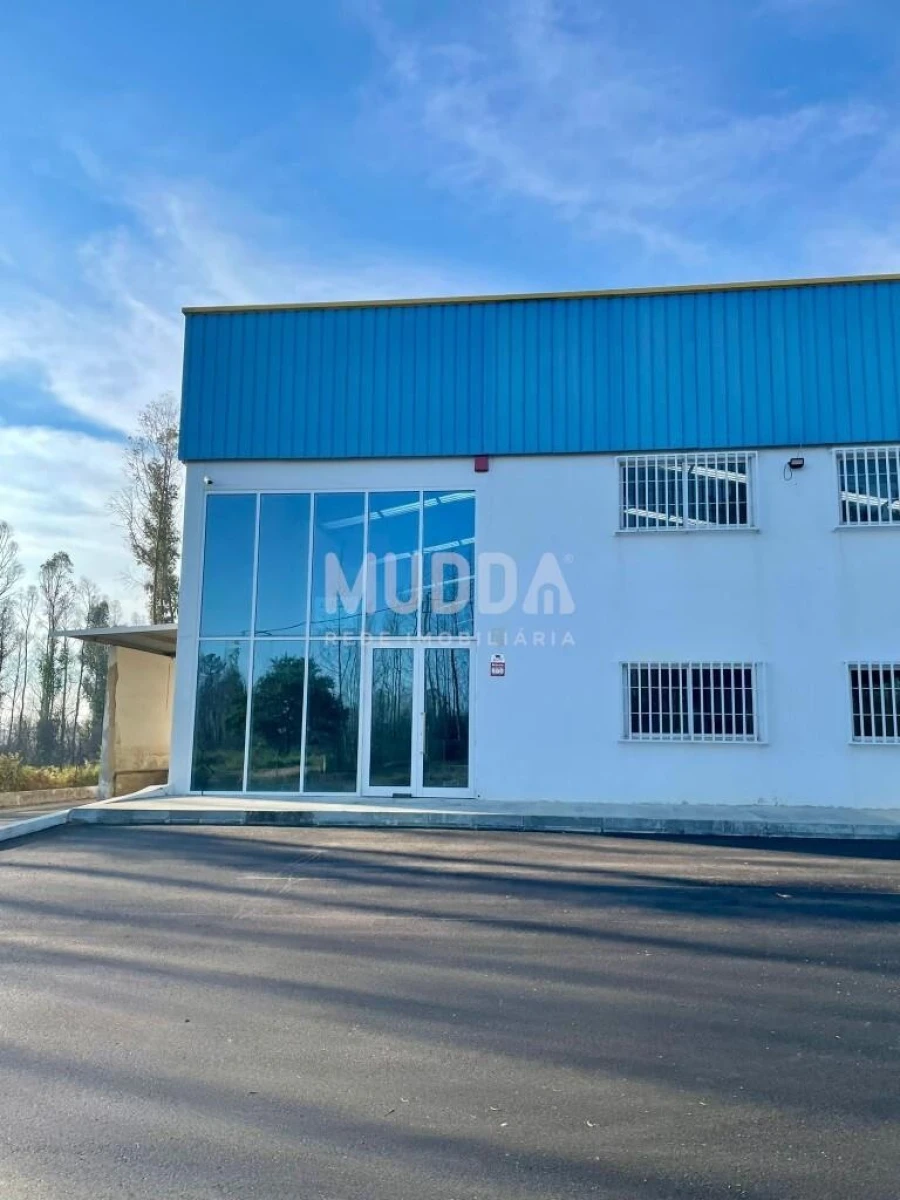 Armazém para Arrendamento em Albergaria-A-Velha e Valmaior Foto 5