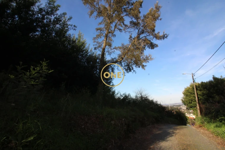 Terreno para Venda em Ruilhe Foto 4