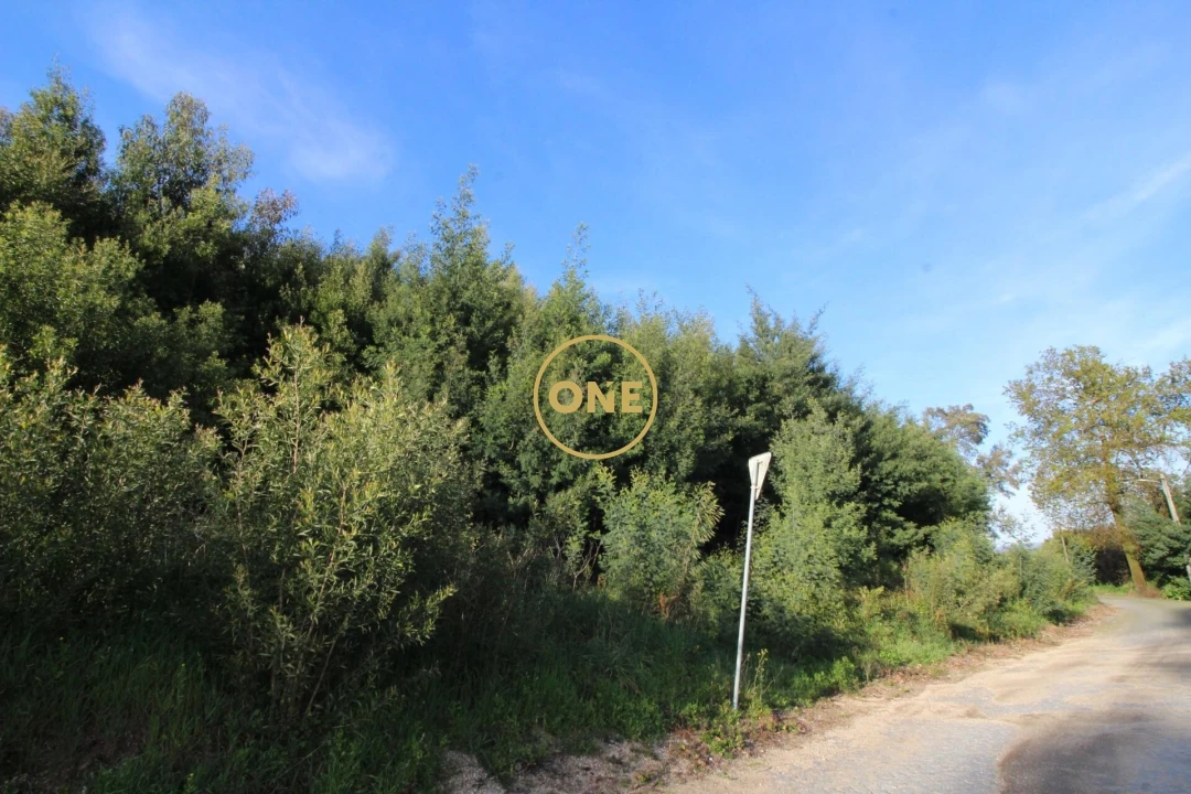 Terreno para Venda em Ruilhe Foto 5