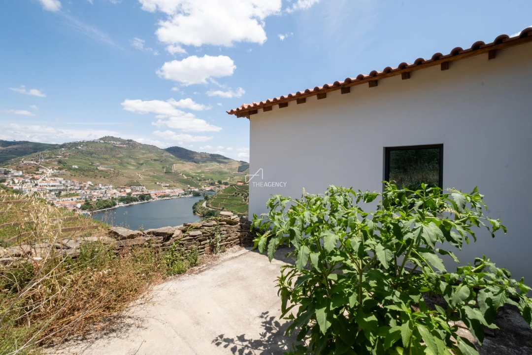 Quinta T6 para Venda em Sabrosa Foto 26