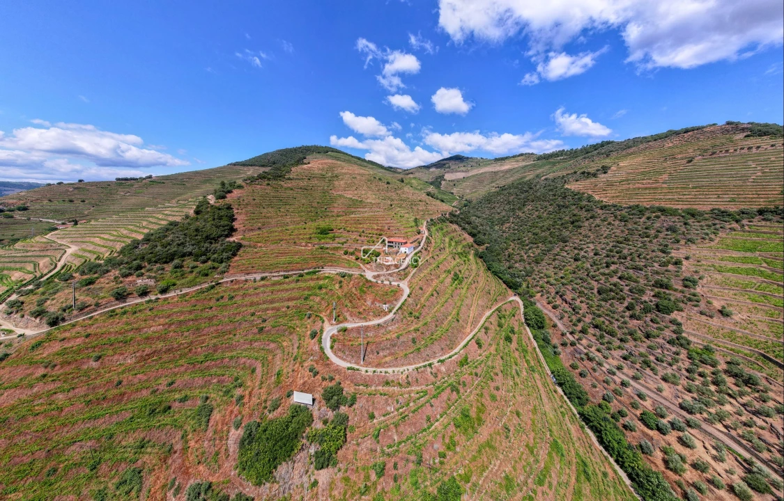 Quinta T6 para Venda em Sabrosa Foto 8