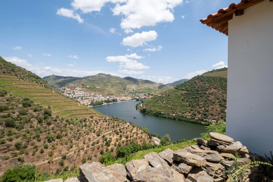 Quinta T6 para Venda em Sabrosa Foto 27