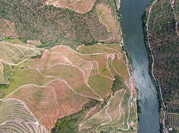 Quinta T6 para Venda em Sabrosa Foto 9