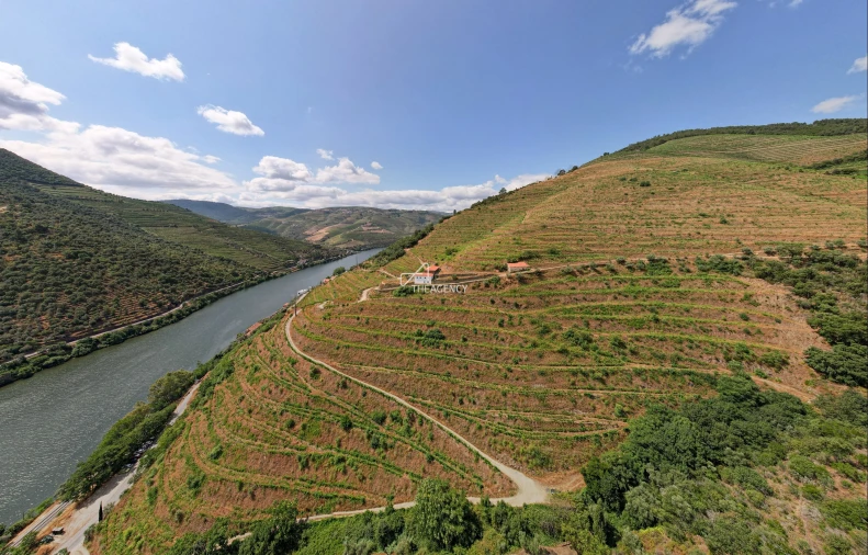 Quinta T6 para Venda em Sabrosa Foto 6