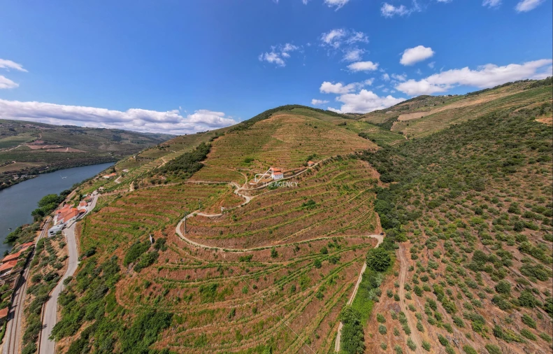 Quinta T6 para Venda em Sabrosa Foto 7