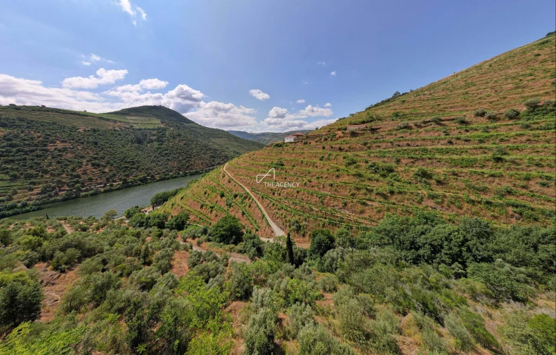 Quinta T6 para Venda em Sabrosa Foto 4