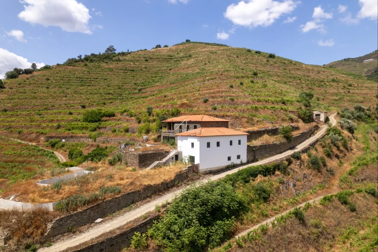 Quinta T6 para Venda em Sabrosa Foto 2