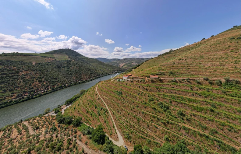 Quinta T6 para Venda em Sabrosa Foto 5