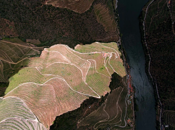 Quinta T6 para Venda em Sabrosa Foto 10