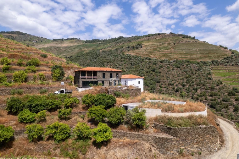 Quinta T6 para Venda em Sabrosa