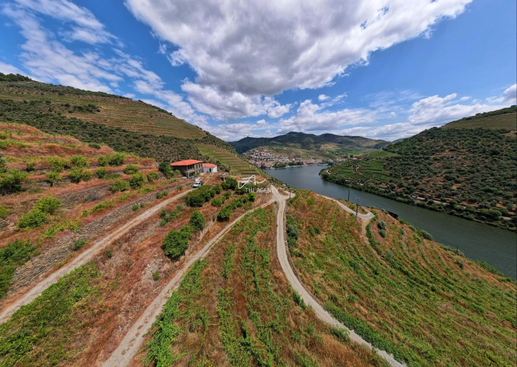 Quinta T6 para Venda em Sabrosa Foto 13