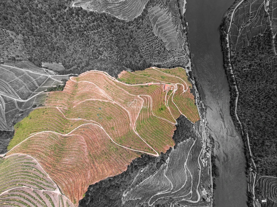 Quinta T6 para Venda em Sabrosa Foto 12