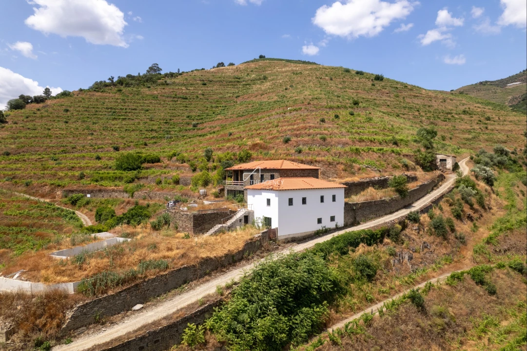 Quinta T6 para Venda em Sabrosa Foto 2