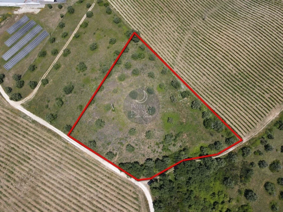Terreno Agricola ou Rústico para Venda em Alcanhões Foto 2