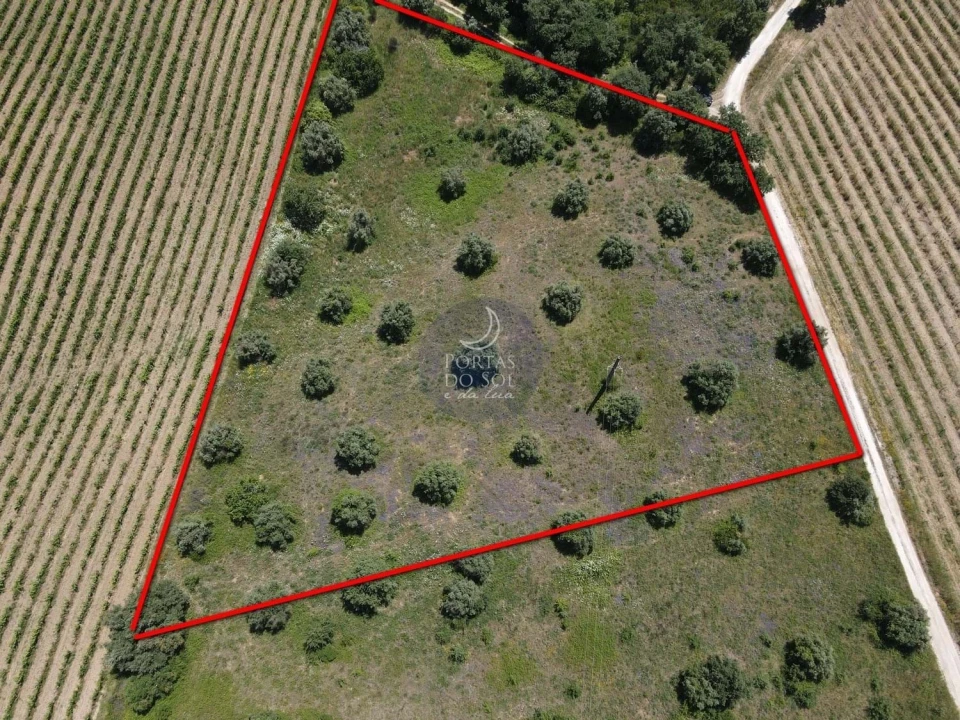 Terreno Agricola ou Rústico para Venda em Alcanhões Foto 1