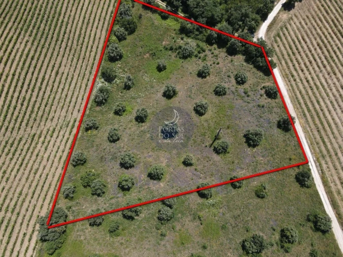Terreno Agricola ou Rústico para Venda em Alcanhões Foto 1