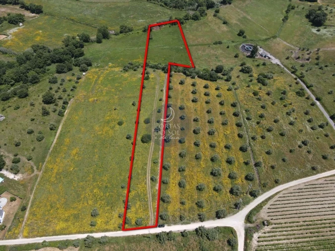 Terreno Agricola ou Rústico para Venda em Marvila, Ribeira Santarém, São Salvador, São Nicolau