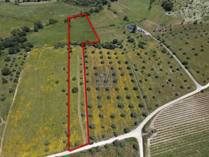 Terreno Agricola ou Rústico para Venda em Marvila, Ribeira Santarém, São Salvador, São Nicolau Foto 3