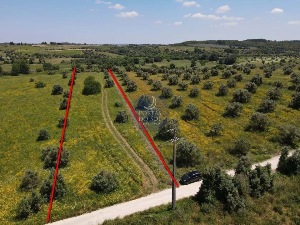Terreno Agricola ou Rústico para Venda em Marvila, Ribeira Santarém, São Salvador, São Nicolau Foto 2